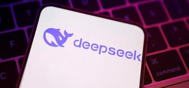 Netherlands Bans Use of "DeepSeek"